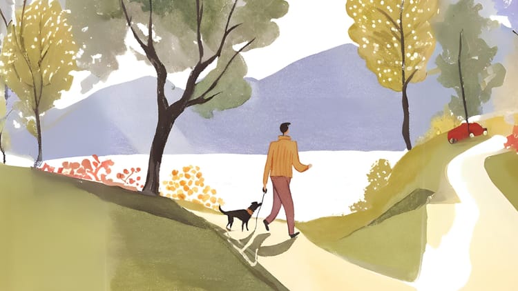 Mindful Dog Walking for Beginners: Tips to Find Calm