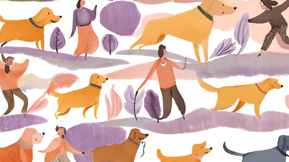 Want to be Happier? Let Your Dog Inspire You